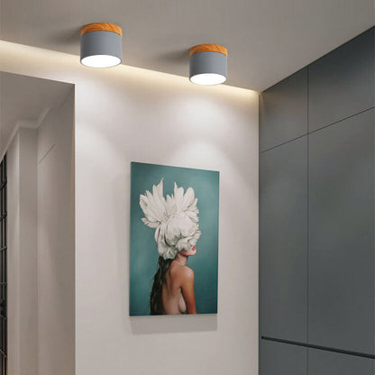 Scandinavian Macaron LED Ceiling Light | Wooden Accent Flush Mount
