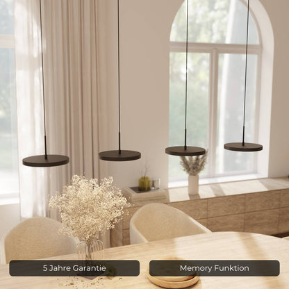 Evanos | Modern Glass Pendant Light for Kitchen Lighting