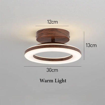 Acrylic Round LED Ceiling Light | Modern Hallway & Entrance Fixture