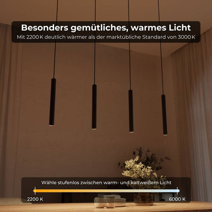 Learis | Designer Hanging Lamp
