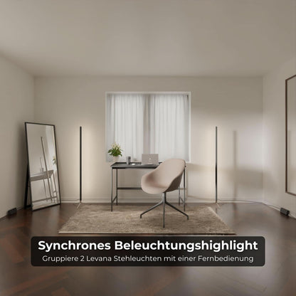 Levana | Modern Black Floor Lamp for Living Room