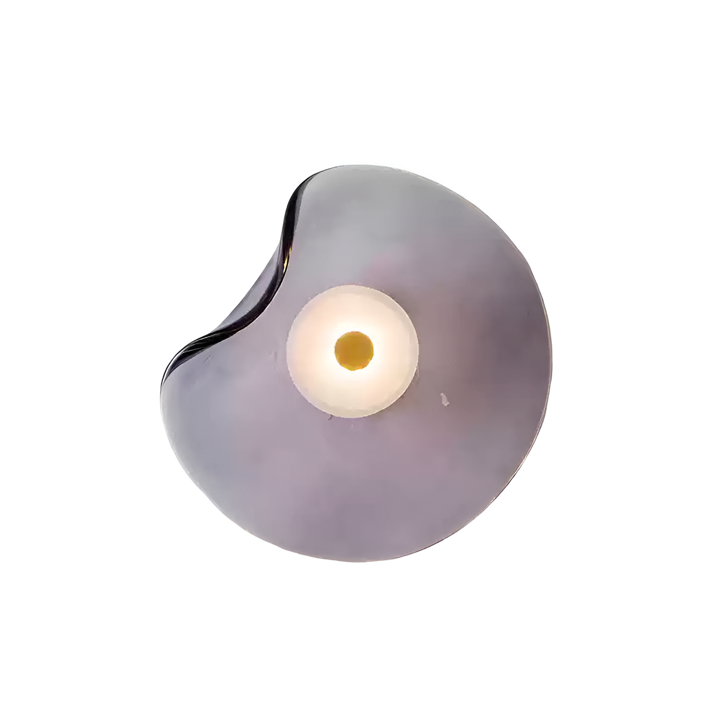 Nordic Curved Glass LED Wall Light Up Down | 25cm | Polished Metal | 260V