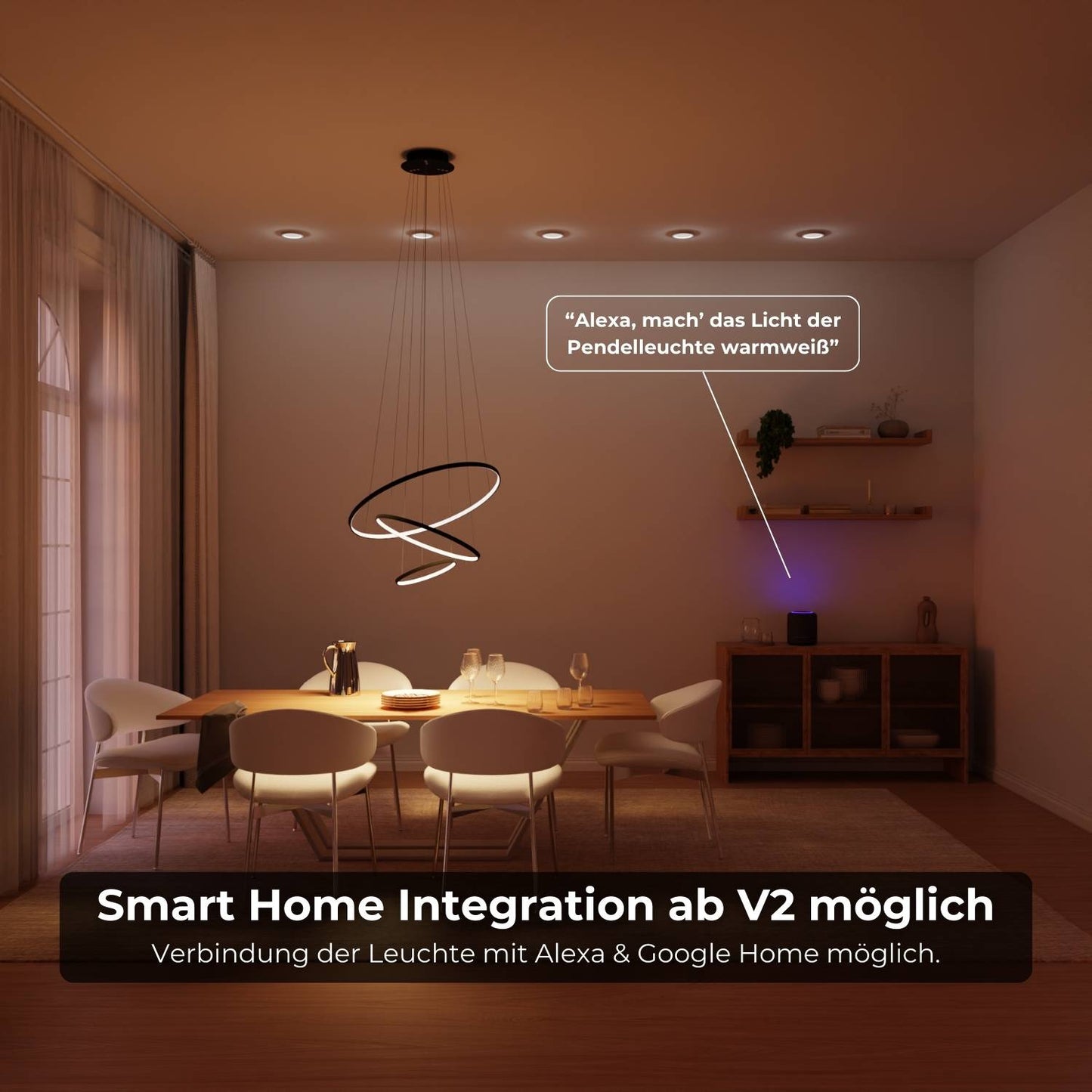 Omeva | Black Pendant Light with Floating Ring Design