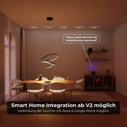 Omeva | Black Pendant Light with Floating Ring Design