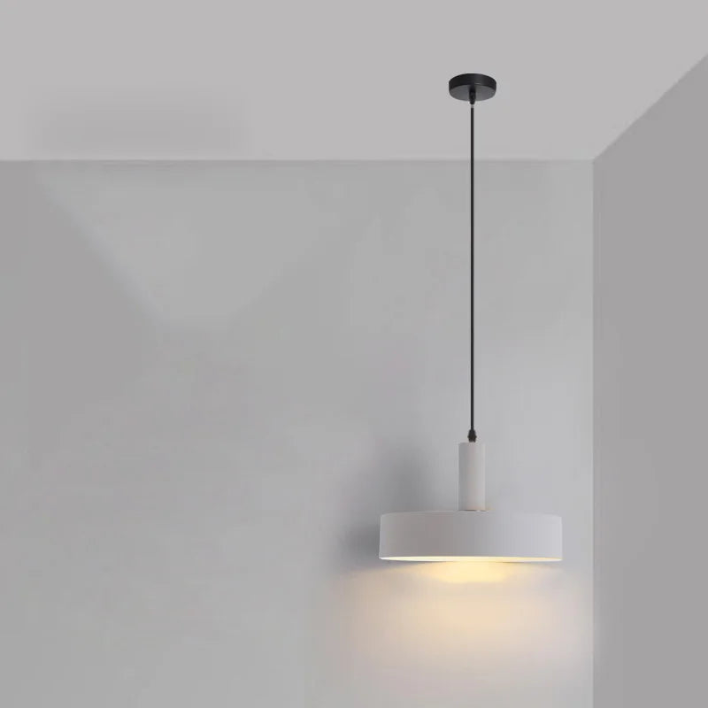 Pastel Rainbow Pendant Light | 12 Inch Diameter | E26 120V Metal Glass